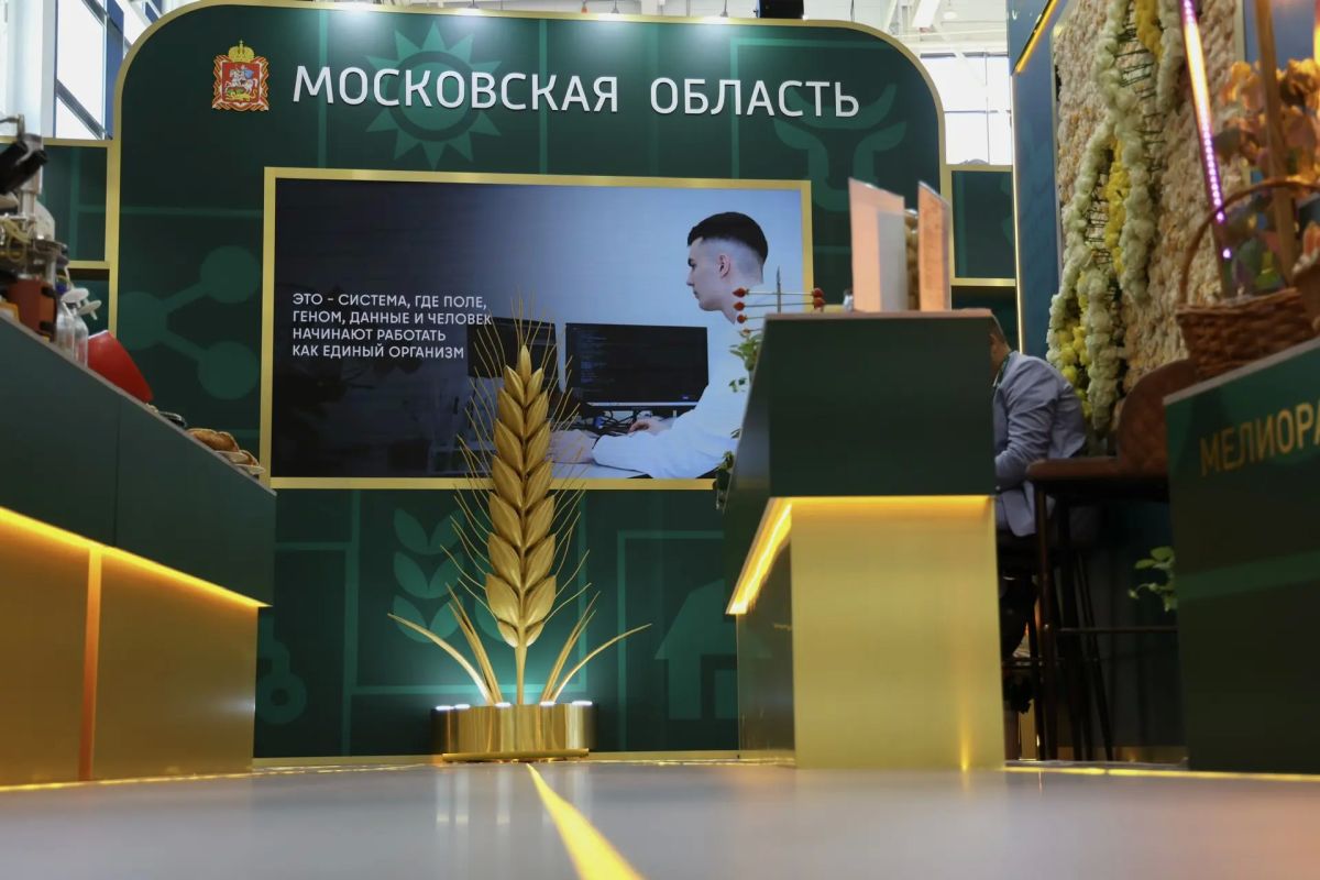 Подводим итоги первого дня Подводим итоги первого дня