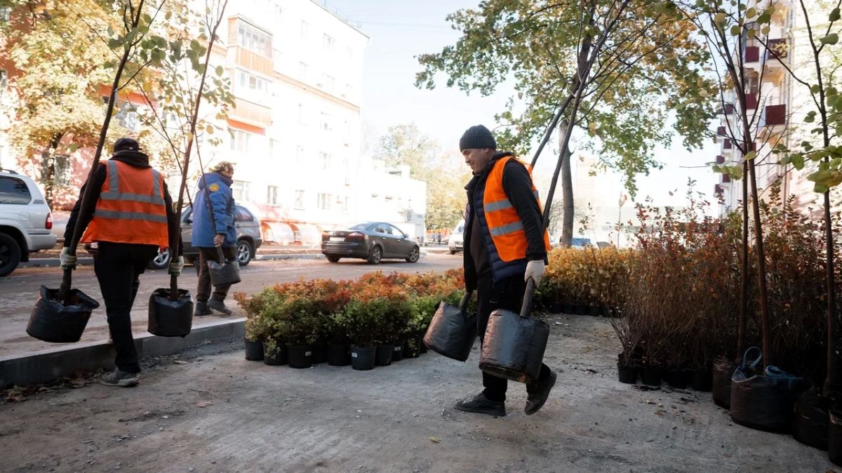 Владимир Волков: К высадке кустов и деревьев приступил подрядчик в сквере «Мемориал павшим в локальных военных конфликтах» Владимир Волков: К высадке кустов и деревьев приступил подрядчик в сквере «Мемориал павшим в локальных военных конфликтах»