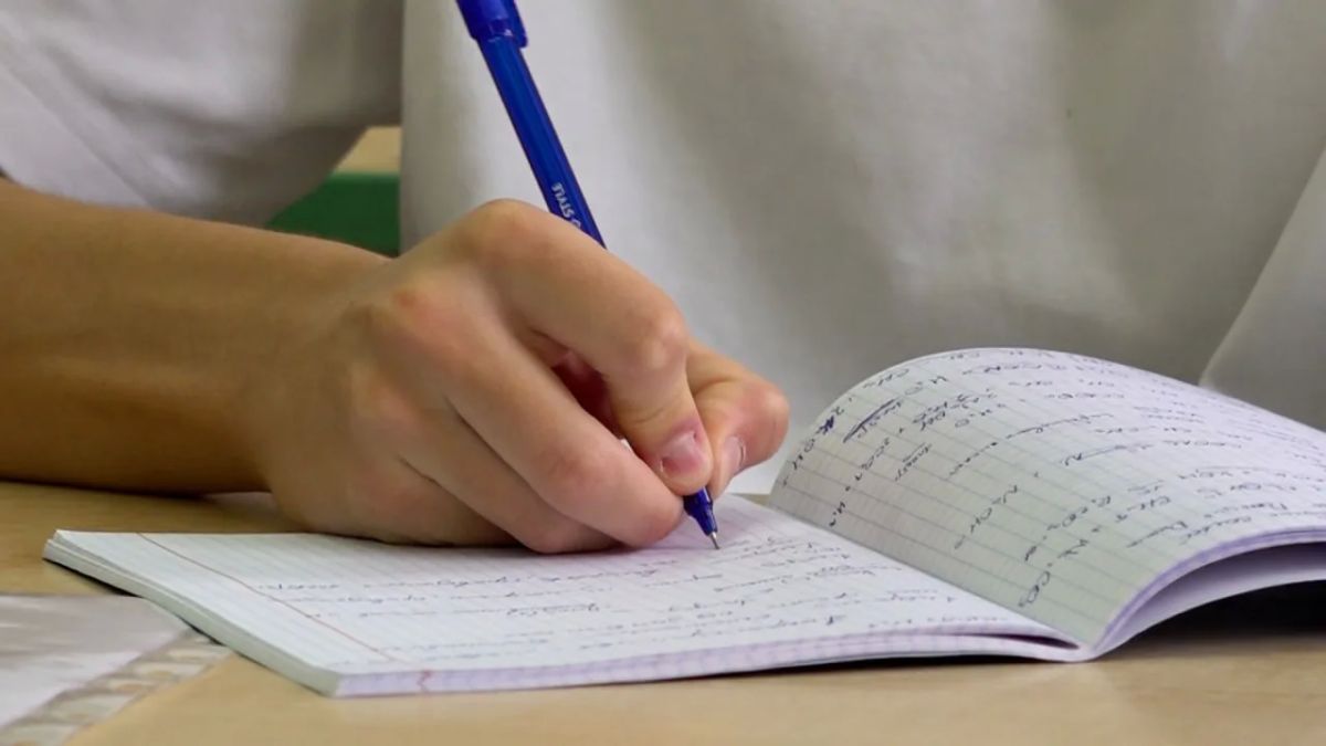 Каникулы с пользой – в Красногорске провели интенсив по подготовке к ЕГЭ Каникулы с пользой – в Красногорске провели интенсив по подготовке к ЕГЭ