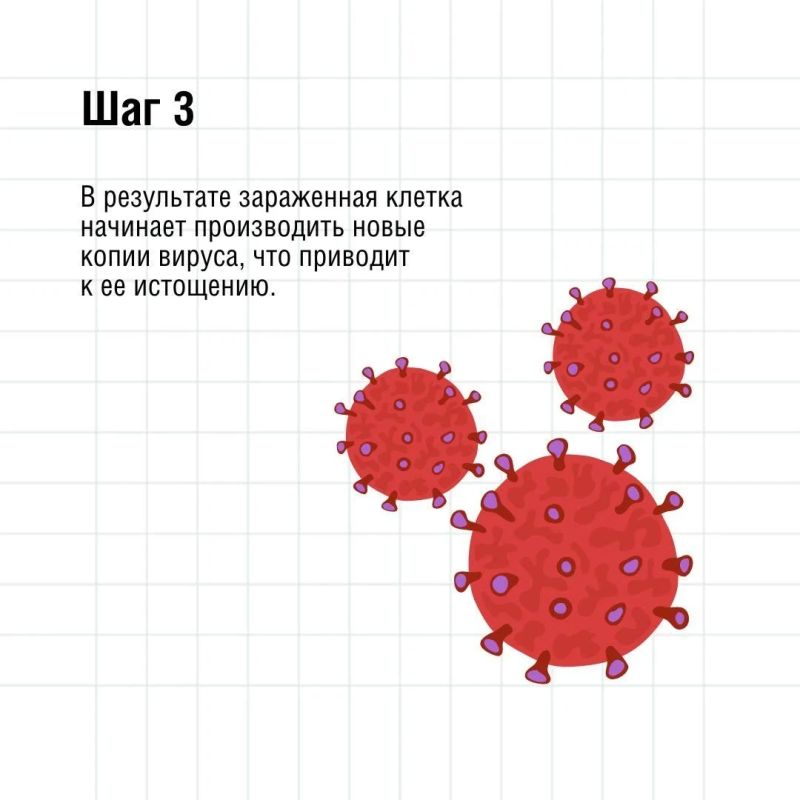 Что нужно знать о ВИЧ. Роспотребнадзор в рамках третьего этапа масштабного образовательного проекта – Лектория «Санпросвет», направленного на повышение уровня информированности граждан об основных инструментах профилактики... Что нужно знать о ВИЧ. Роспотребнадзор в рамках третьего этапа масштабного образовательного проекта – Лектория «Санпросвет», направленного на повышение уровня информированности граждан об основных инструментах профилактики...