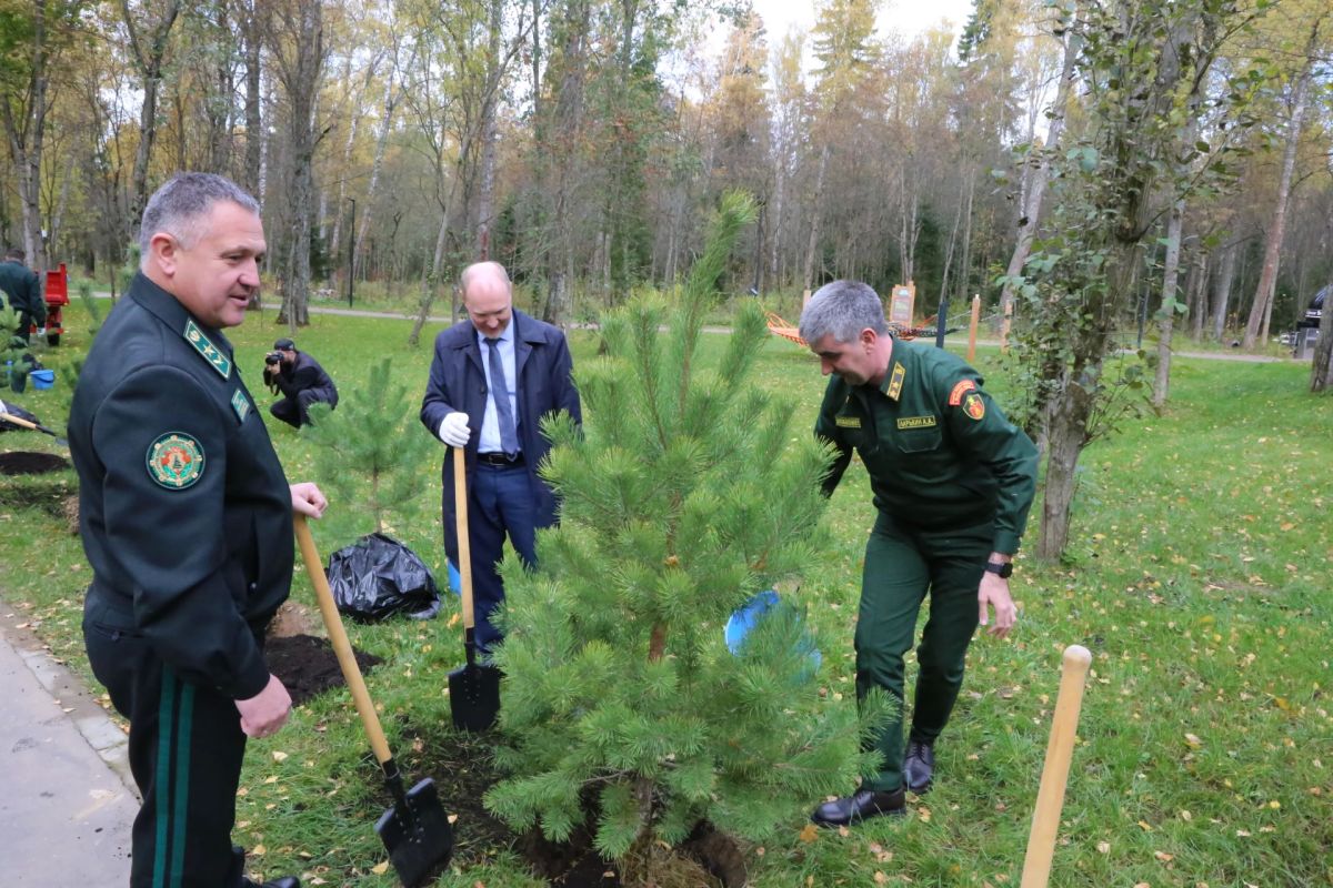 Цифра, сосны и парк в лесу: второй день визита белорусской делегации в Подмосковье Цифра, сосны и парк в лесу: второй день визита белорусской делегации в Подмосковье