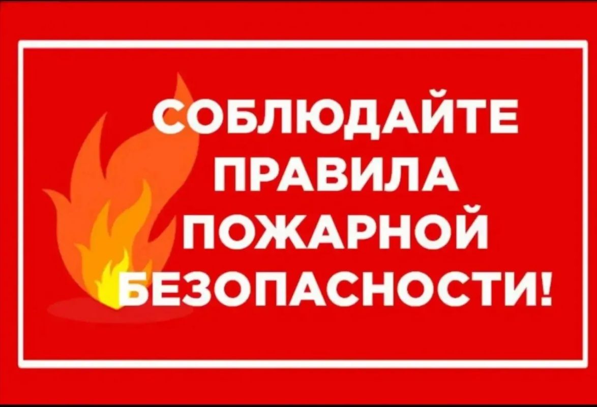 Пушкино, внимание!. Сегодня в 21:00 на улице Пушкинская горка произошло возгорание мусорного контейнера
