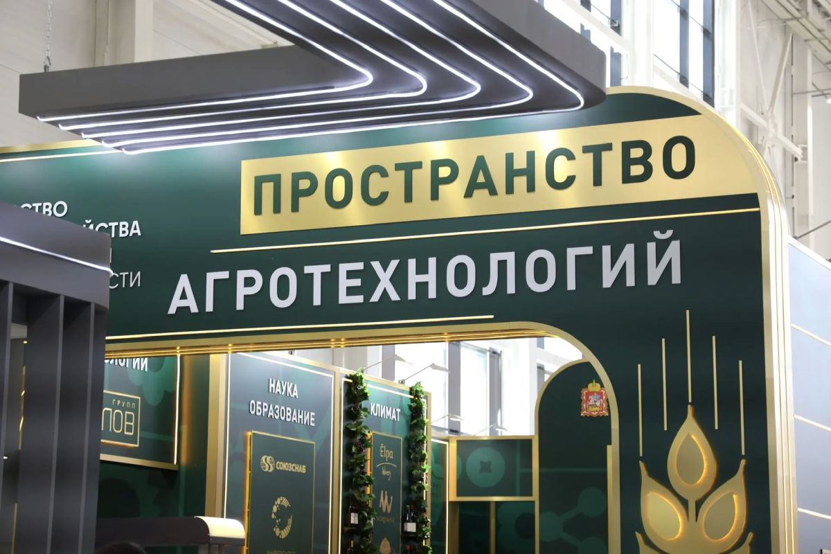 Как прошёл второй день на выставке «Золотая осень – 2026»