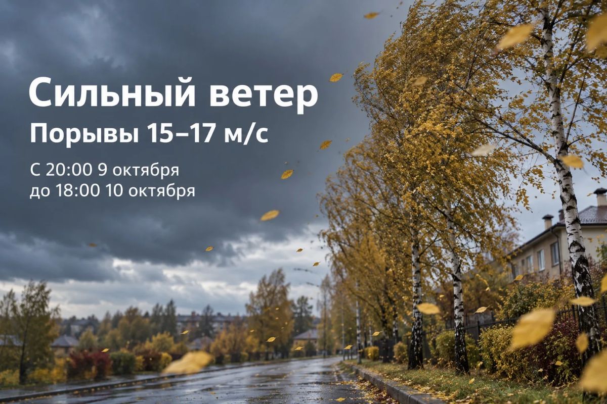 Сильный ветер — будьте осторожны