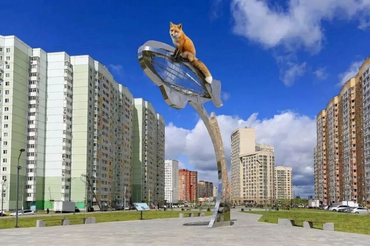Лиса в Долгопрудном: что делать и куда звонить