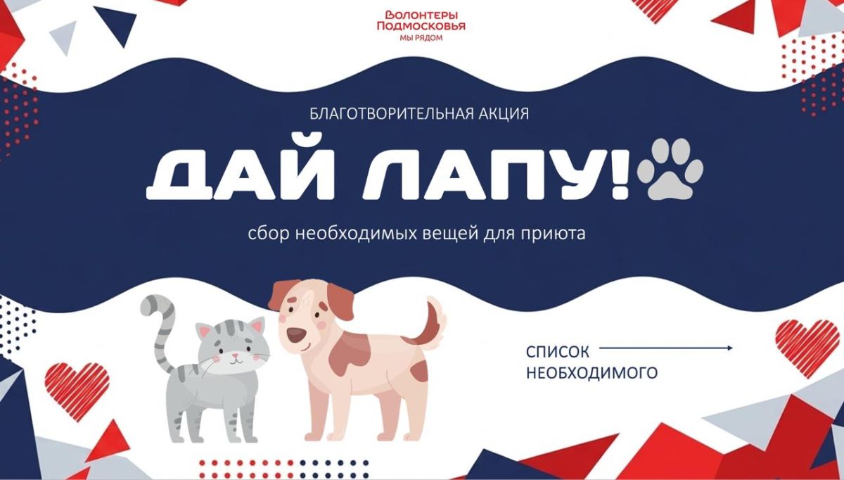 Поможем хвостикам вместе: объявляем Большой день сбора для приюта!