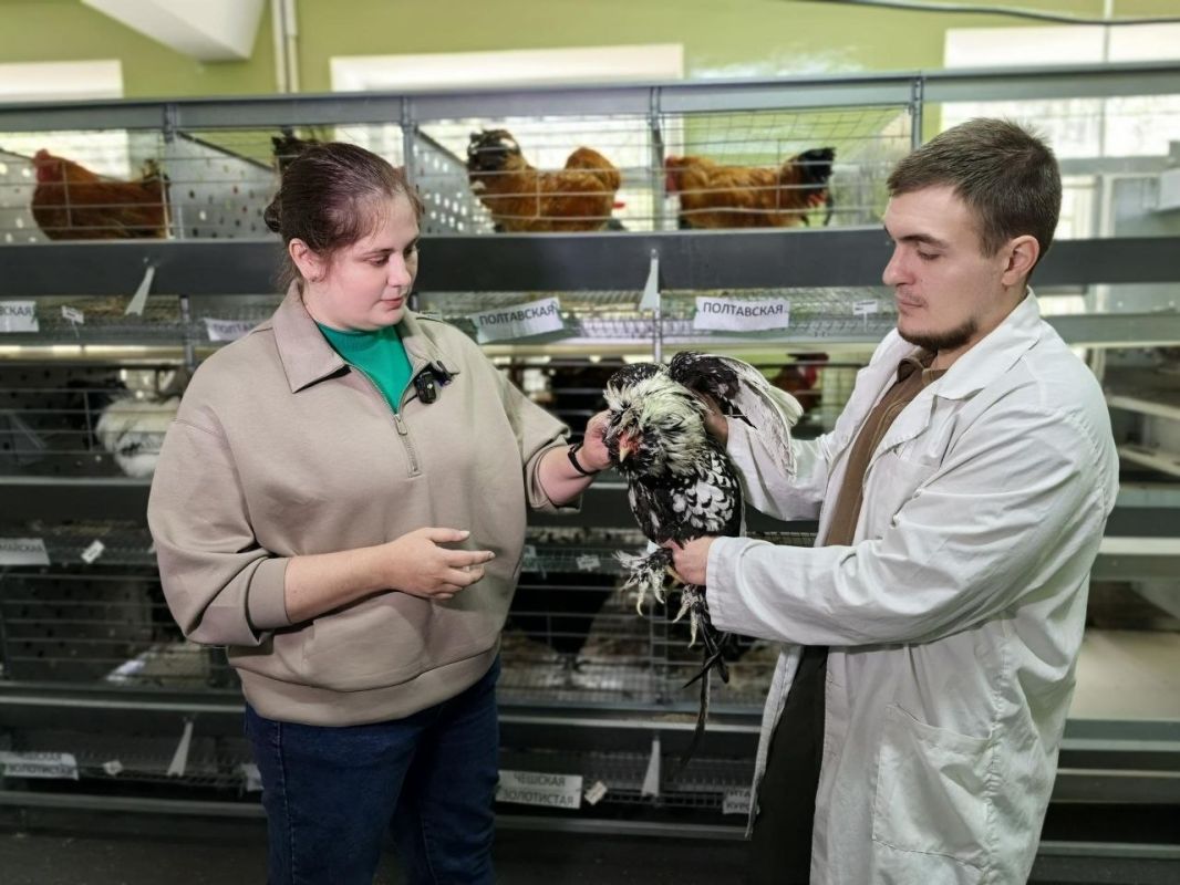 В Подольске создали генетический банк из 130 тысяч образцов сельскохозяйственных животных В Подольске создали генетический банк из 130 тысяч образцов сельскохозяйственных животных
