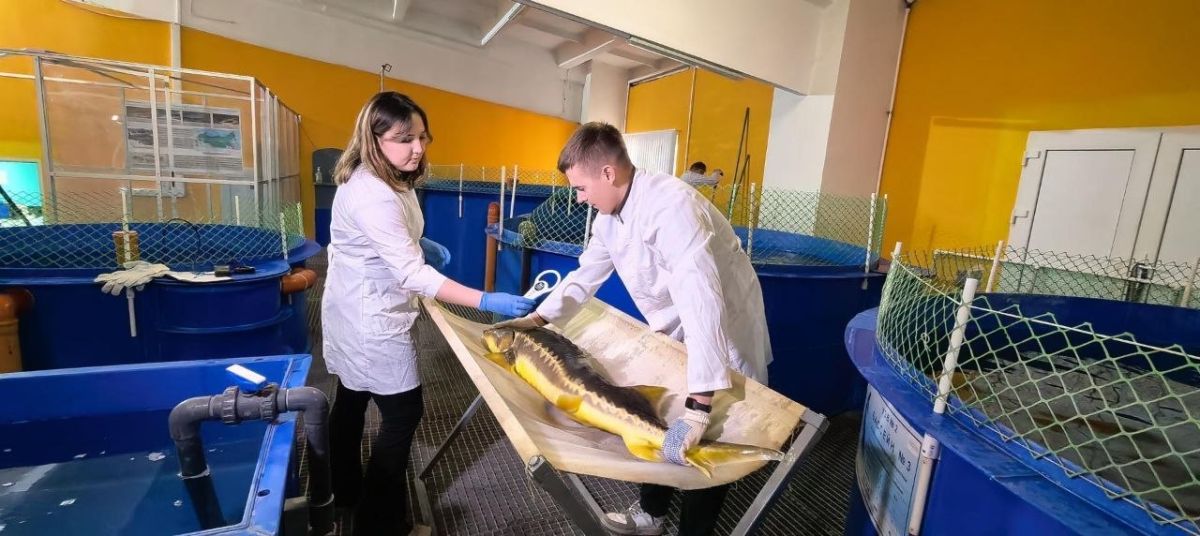 В Подольске создали генетический банк из 130 тысяч образцов сельскохозяйственных животных