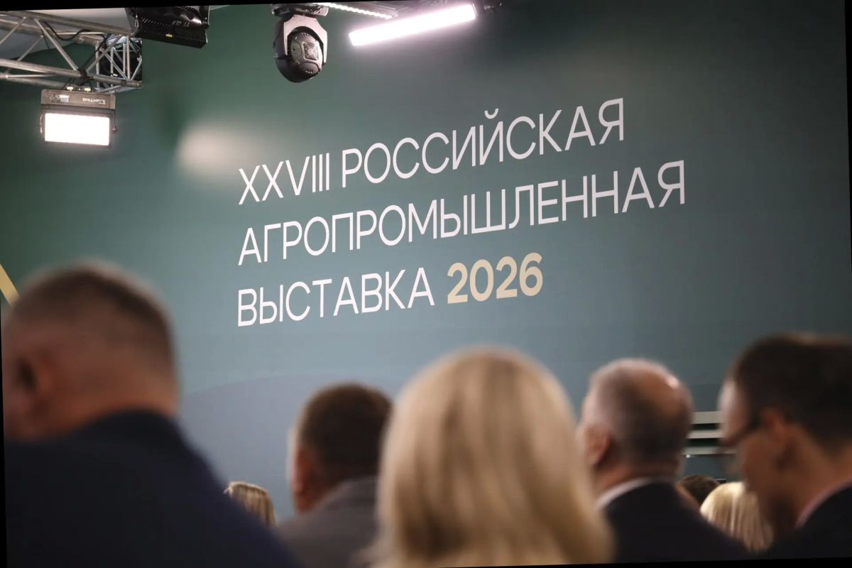 ���������� ������� ��������� � �������� ����� � 2026� � ���������!