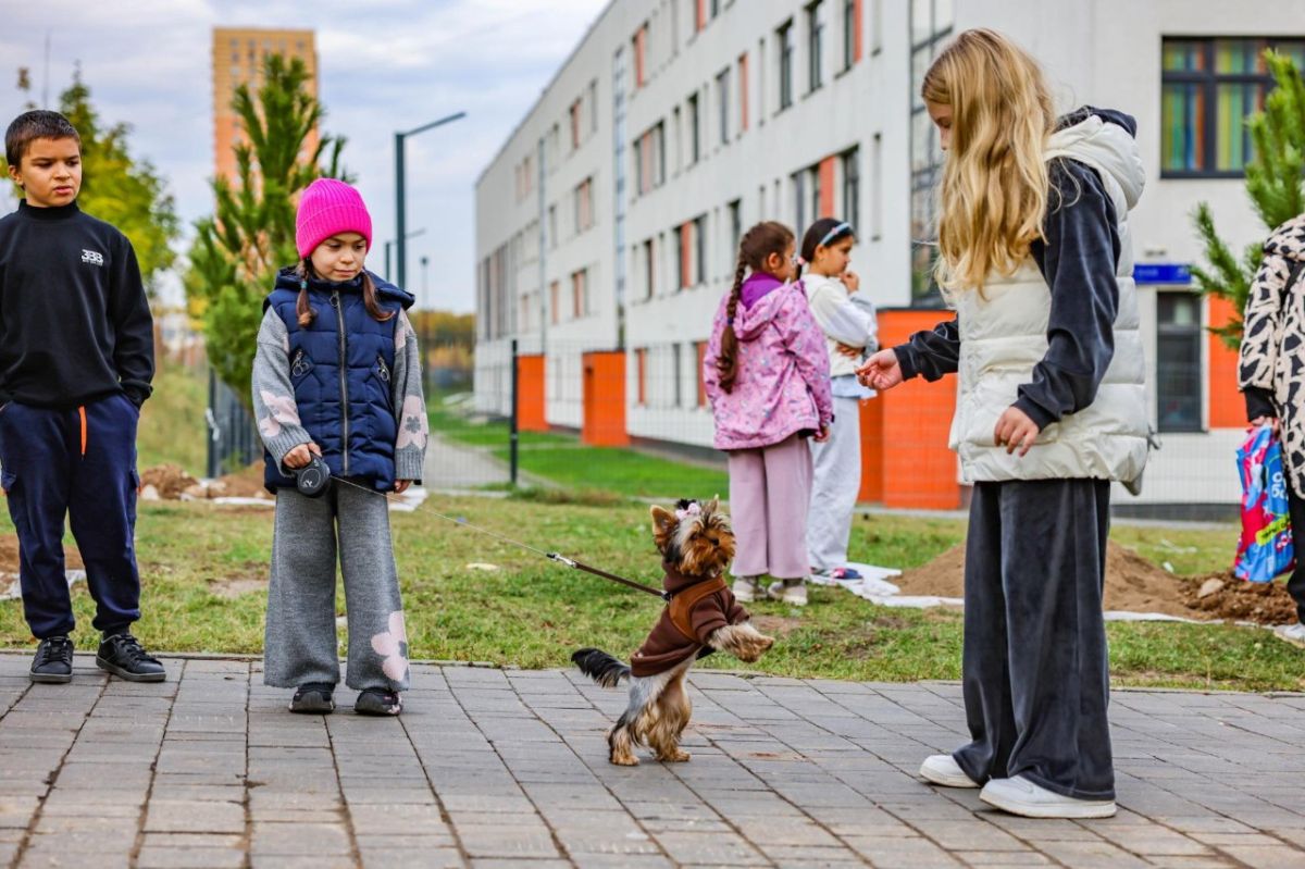 В посёлке городского типа Боброво Ленинского округа на улице Лесной 9 октября состоялась высадка деревьев в рамках всероссийской акции «Сохраним лес» В посёлке городского типа Боброво Ленинского округа на улице Лесной 9 октября состоялась высадка деревьев в рамках всероссийской акции «Сохраним лес»