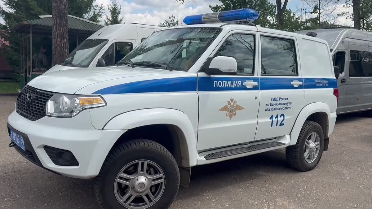 В Одинцовском городском округе полицейские задержали на месте преступления москвича, пытавшегося похитить сейф из частного дома