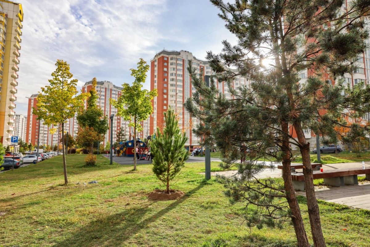 В посёлке городского типа Боброво Ленинского округа на улице Лесной 9 октября состоялась высадка деревьев в рамках всероссийской акции «Сохраним лес»