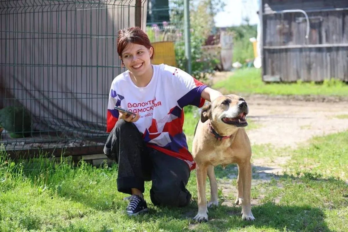 Стартовала акция помощи животным «Дай лапу»! Стартовала акция помощи животным «Дай лапу»!