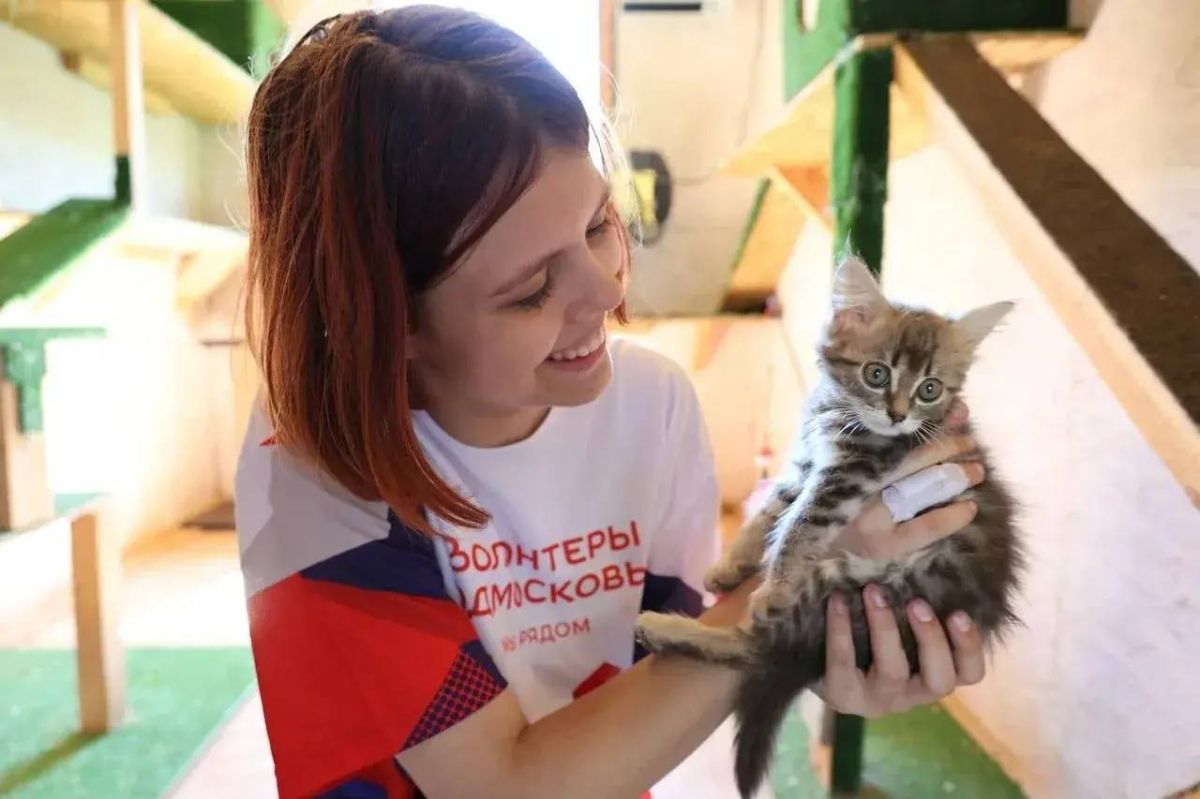 Стартовала акция помощи животным «Дай лапу»! Стартовала акция помощи животным «Дай лапу»!