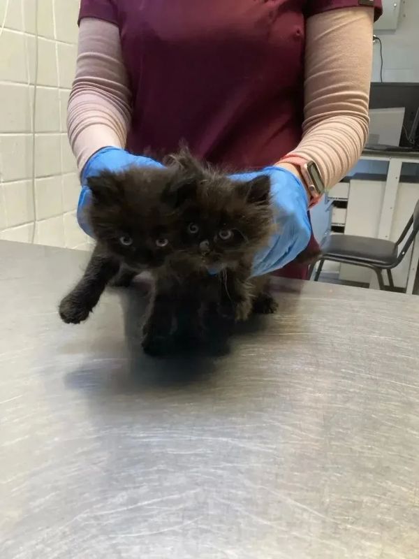 ������ �� ������� ���� ������� �����