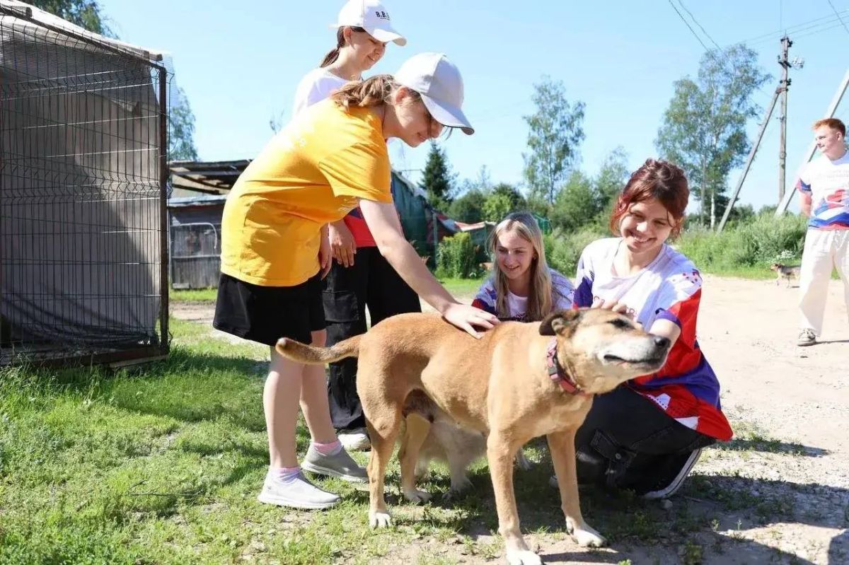 Стартовала акция помощи животным «Дай лапу»!