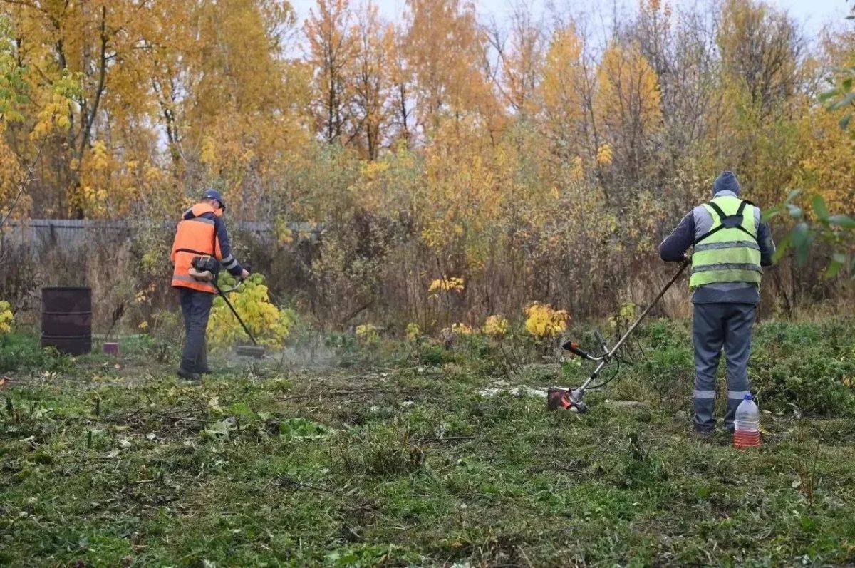 Летом по приглашению «Молодой Гвардии Единой России» глава городского округа Серпухов Алексей Шимко посетил приют «Зоозащита+» Летом по приглашению «Молодой Гвардии Единой России» глава городского округа Серпухов Алексей Шимко посетил приют «Зоозащита+»