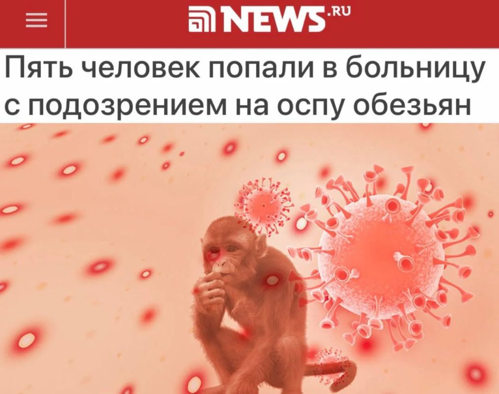 «Пять человек попали в больницу с подозрением на оспу обезьян»: Оспа обезьян дошла до Подмосковья