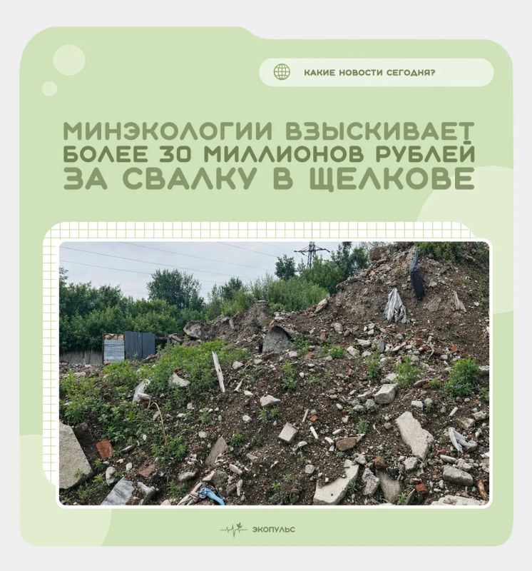 В областном Арбитражном суде начинается процесс по иску Минэкологии МО к владельцу двух земельных участков в Щелкове