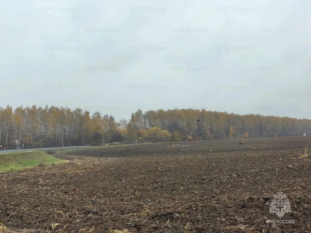 Сотрудники МЧС проинспектировали готовность городского округа Домодедово к пожароопасному сезону Сотрудники МЧС проинспектировали готовность городского округа Домодедово к пожароопасному сезону