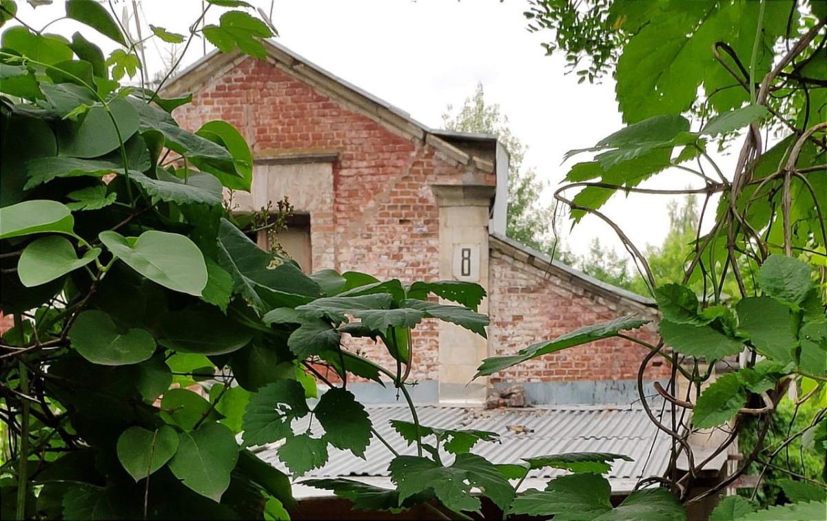 В Пушкино снесли три аварийных жилых дома, которые были признаны непригодными для дальнейшего проживания: В Пушкино снесли три аварийных жилых дома, которые были признаны непригодными для дальнейшего проживания: