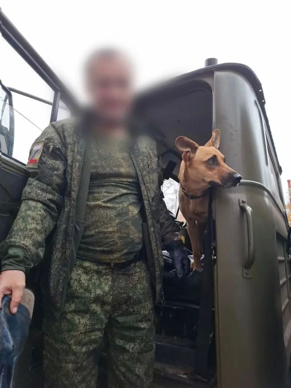 В Реутове состоялась передача гуманитарной помощи для участников СВО