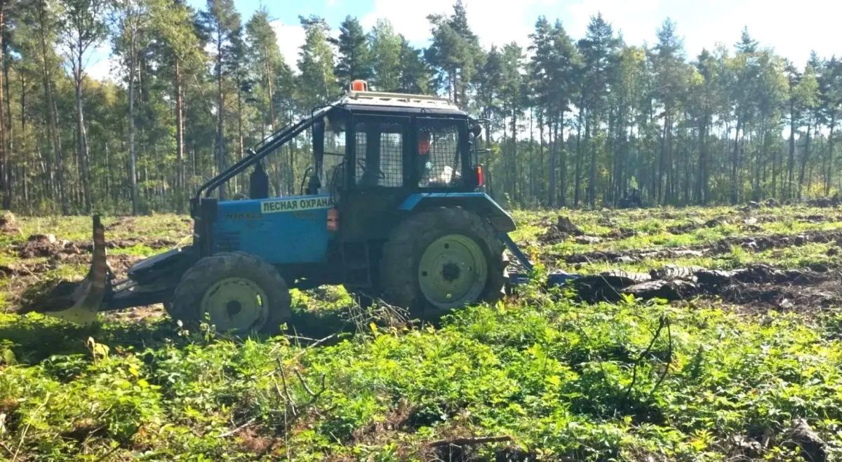 Лесовосстановление: в Ступино подготовлена почва под будущий лес