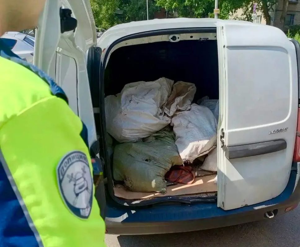 Чистое Подмосковье: "серым возчикам" дали бой Чистое Подмосковье: "серым возчикам" дали бой