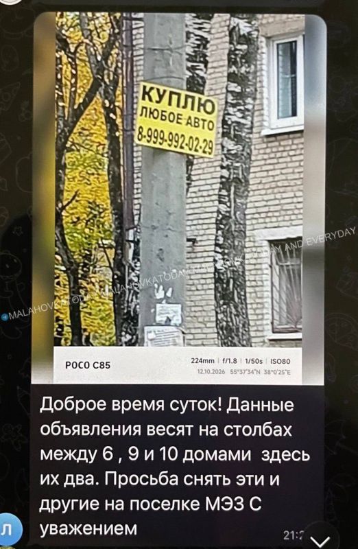 Вся Малаховка, и южная , и северная, увешена желтыми рекламными объявлениями нелегального бизнеса – жители пишут обращения, но по каждому столбу не напишешь же, их море!