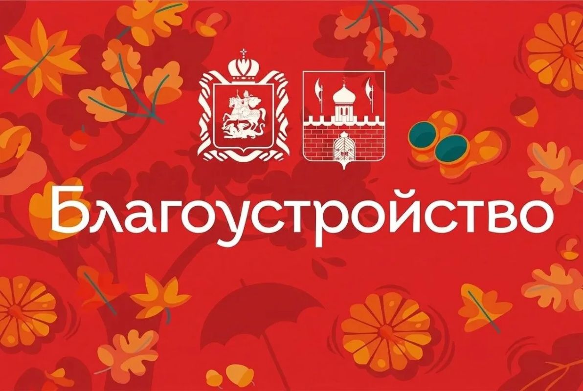 От обращения к результату: как просьба одной жительницы изменила двор в Березняках От обращения к результату: как просьба одной жительницы изменила двор в Березняках