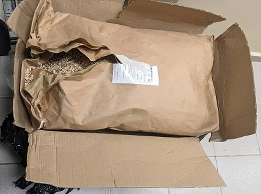Радиоактивные грибы нашли у пассажира в аэропорту Домодедово Радиоактивные грибы нашли у пассажира в аэропорту Домодедово