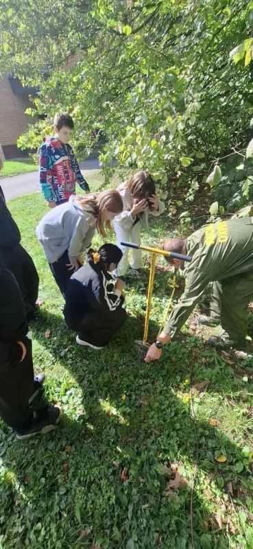 От теории к практике: юные лесничие Подольска осваивают профессиональные инструменты От теории к практике: юные лесничие Подольска осваивают профессиональные инструменты