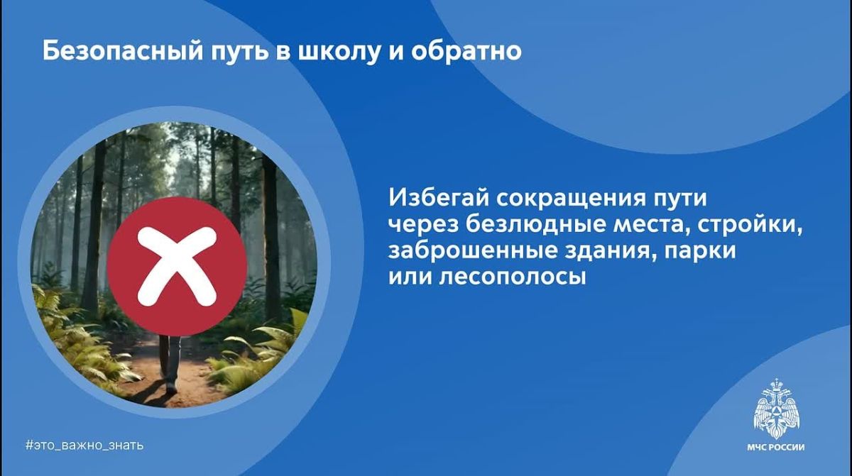 Безопасная дорога в школу. Главное управление МЧС России по Московской области напоминает: