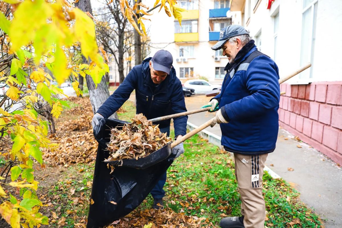 В Химках идёт уборка листвы во всех микрорайонах В Химках идёт уборка листвы во всех микрорайонах