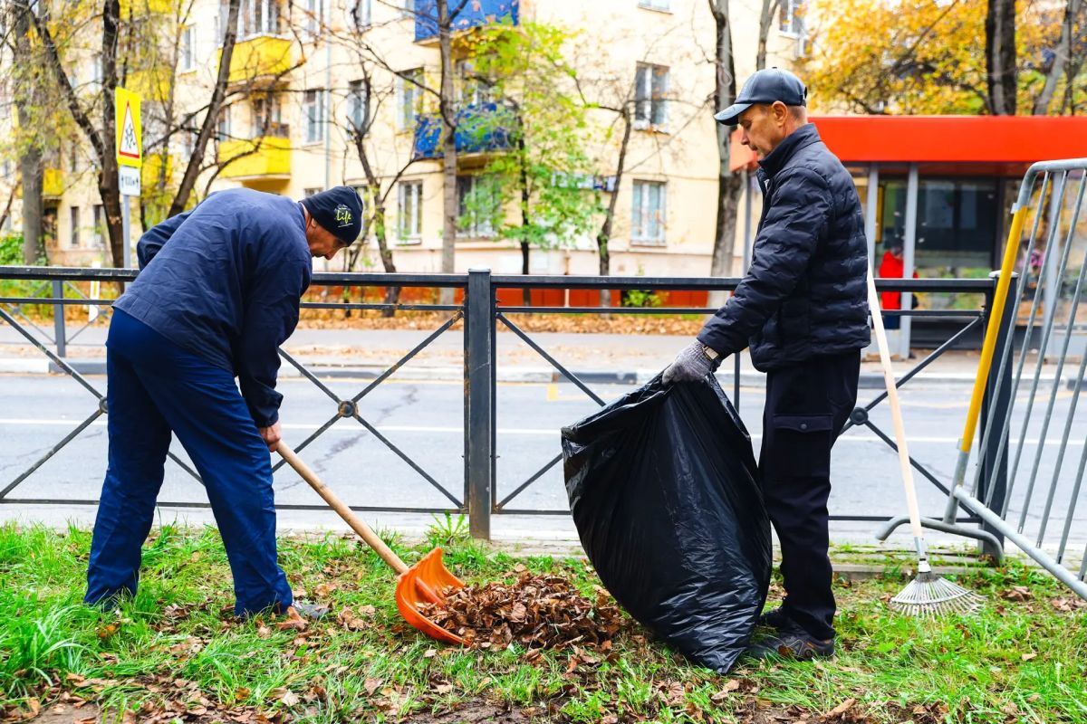 В Химках идёт уборка листвы во всех микрорайонах В Химках идёт уборка листвы во всех микрорайонах