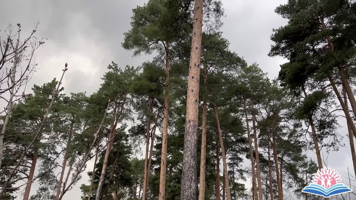 В рамках проекта «Раменское глазами детей» юные участники представили свои кинопроекты – короткие фильмы о людях, которые жили, творили, совершали открытия и подвиги на раменской земле