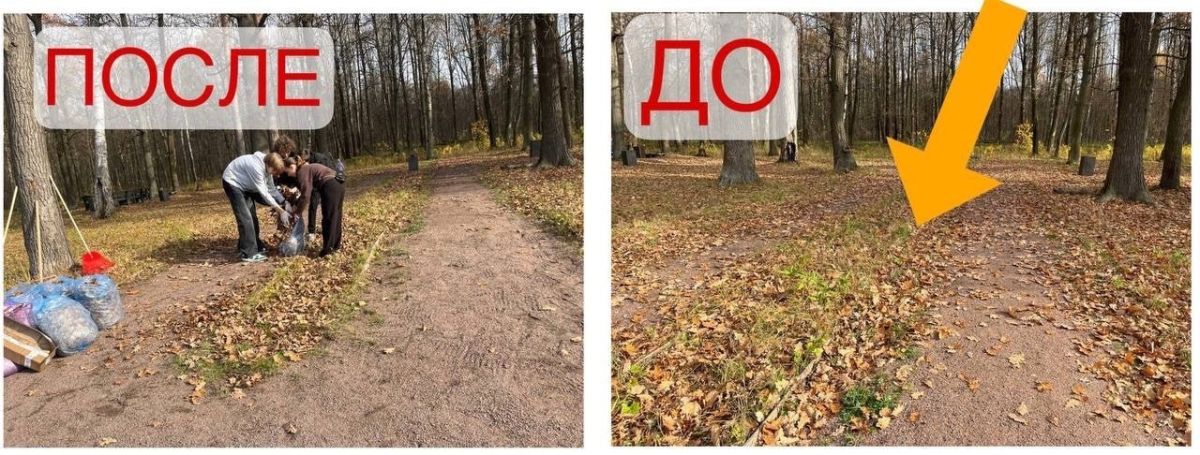 Своими силами: активисты «СТУПИНО МИТ» навели порядок у городских прудов Своими силами: активисты «СТУПИНО МИТ» навели порядок у городских прудов