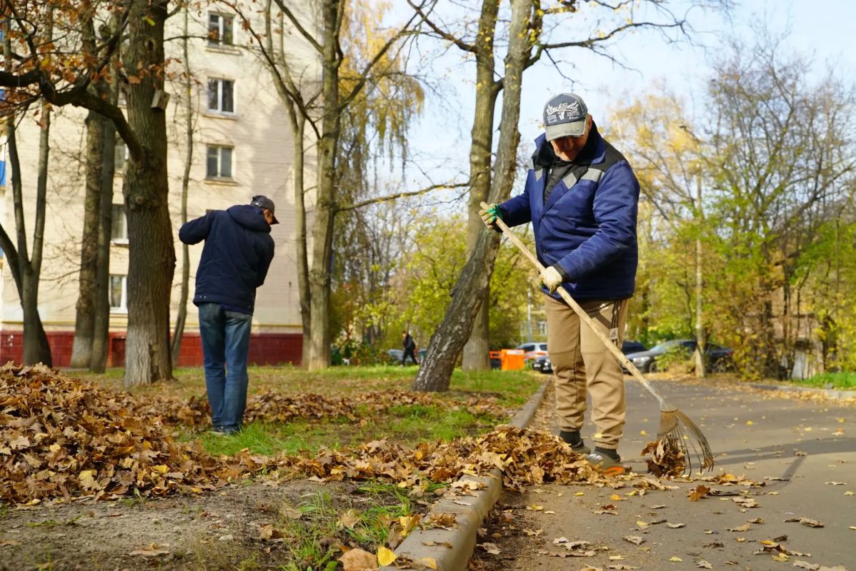 В Химках идёт уборка листвы во всех микрорайонах В Химках идёт уборка листвы во всех микрорайонах