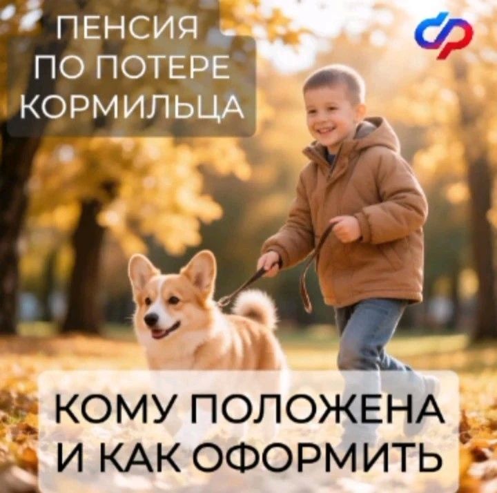 Отделение СФР по Москве и Московской области оказывает социальную поддержку нетрудоспособным жителям, в том числе выплачивает пенсию по случаю потери кормильца — страховую или социальную
