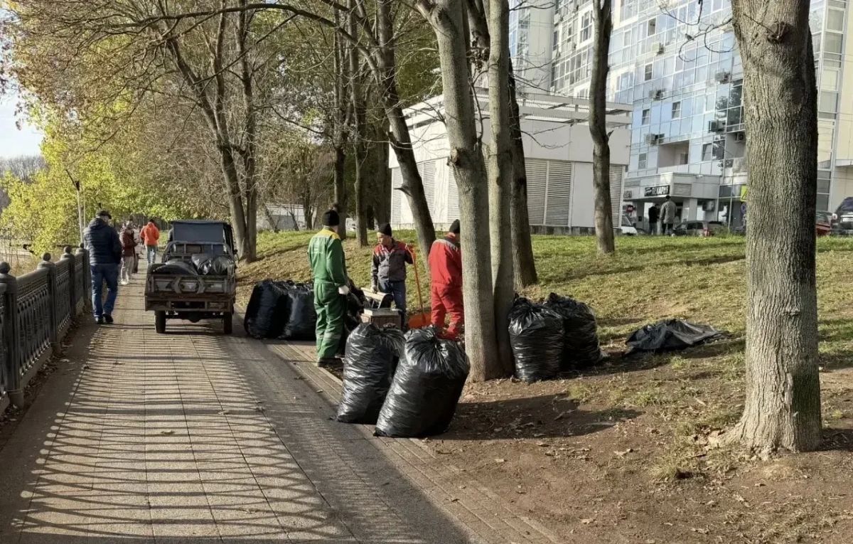 Листву — в мешки, дорожки — в порядок: субботник на набережной у ЖК «Маяк» Листву — в мешки, дорожки — в порядок: субботник на набережной у ЖК «Маяк»