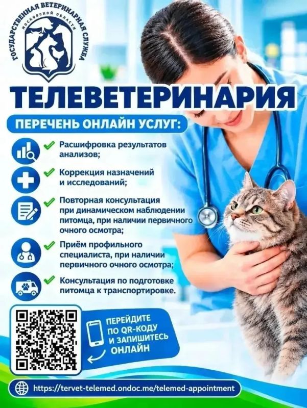 Дистанционная ветеринария в Мытищах: помощь экспертов в один клик