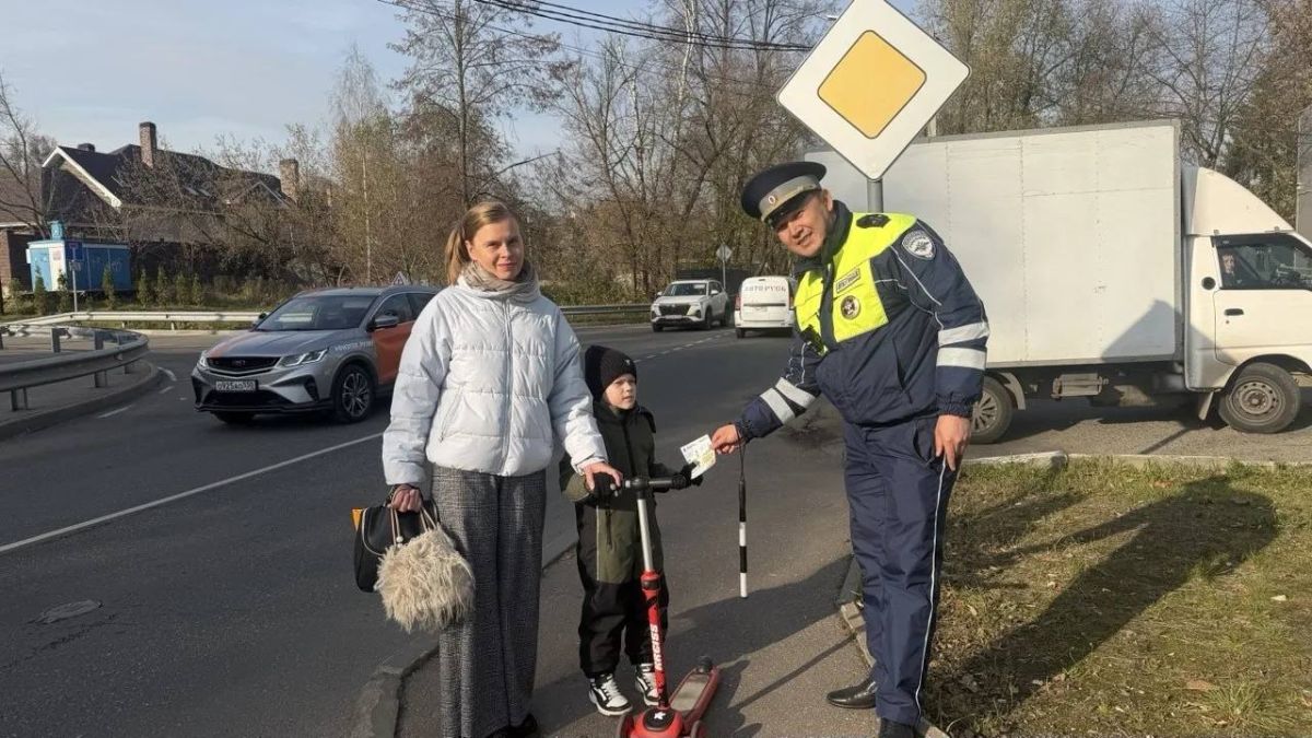 Госавтоинспекция Московской области: безопасность пешеходов под особым контролем Госавтоинспекция Московской области: безопасность пешеходов под особым контролем