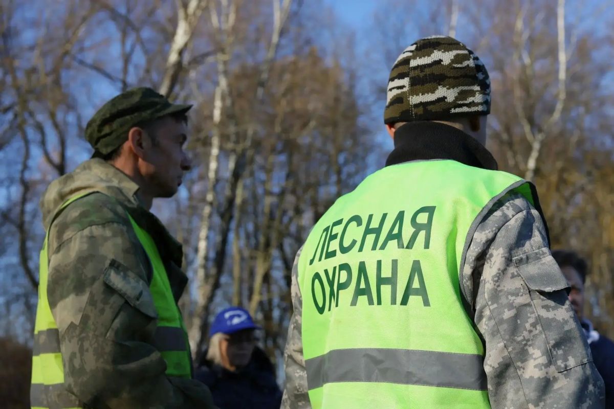 Акция «Чистый лес»: на страже здоровья лесов