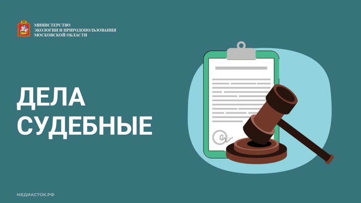 Судебная коллегия по гражданским делам Московского областного суда поддержала позицию Минэкологии региона в споре о незаконной свалке в деревне Целеево в Дмитровском округе