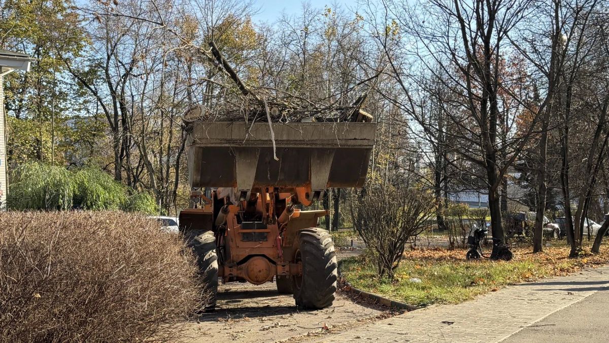 45 м спиленных веток вывезли коммунальщики с одной из улиц в Дзержинском 45 м спиленных веток вывезли коммунальщики с одной из улиц в Дзержинском