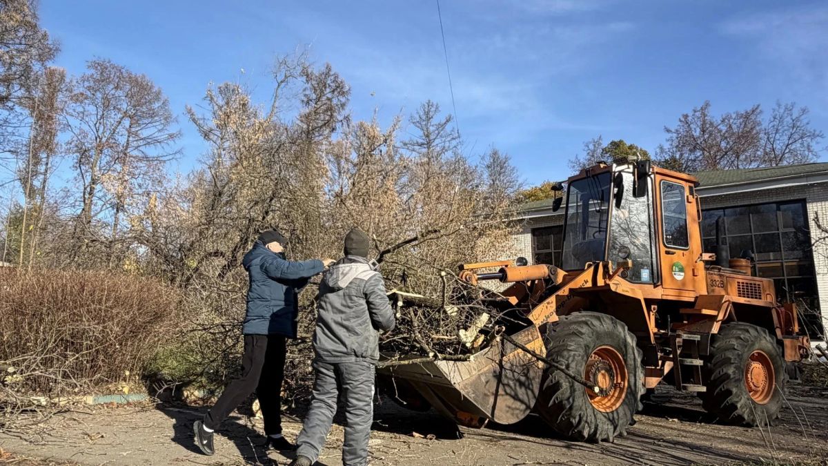 45 м спиленных веток вывезли коммунальщики с одной из улиц в Дзержинском 45 м спиленных веток вывезли коммунальщики с одной из улиц в Дзержинском