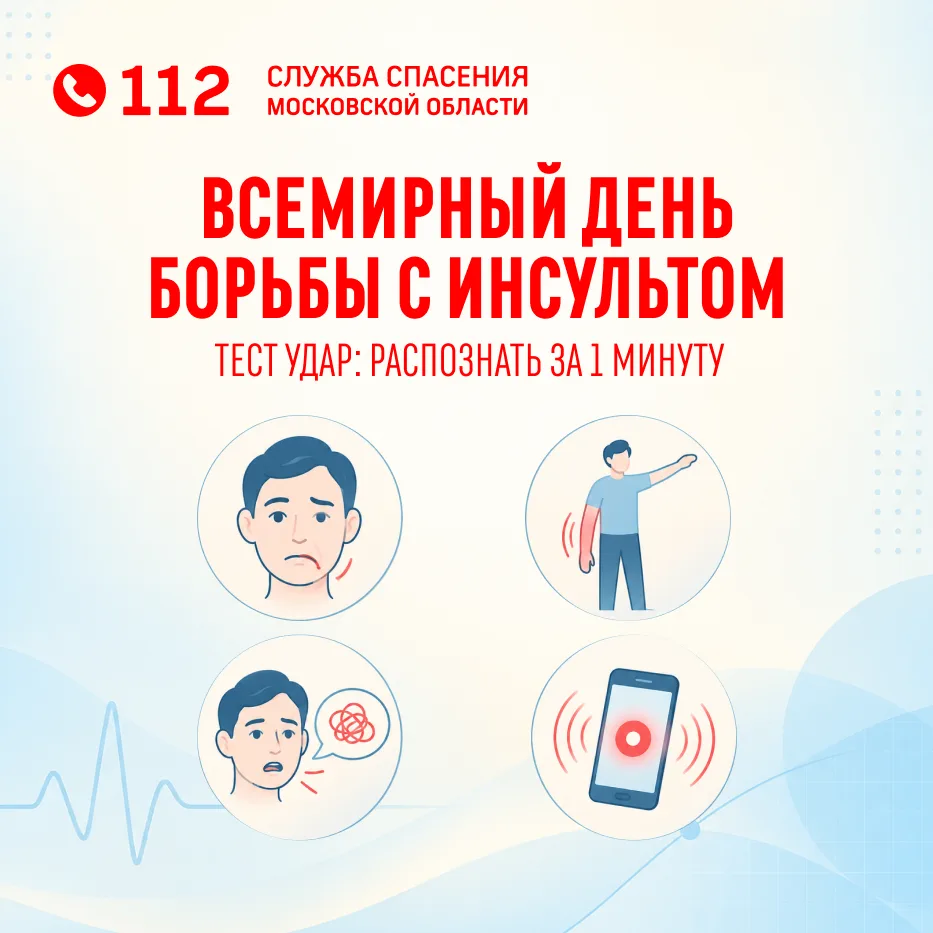 Ежегодно 29 октября отмечается Всемирный день борьбы с инсультом