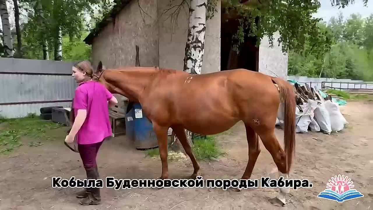 В рамках проекта «Раменское глазами детей» юные участники представили свои кинопроекты – короткие фильмы о людях, которые жили, творили, совершали открытия и подвиги на раменской земле