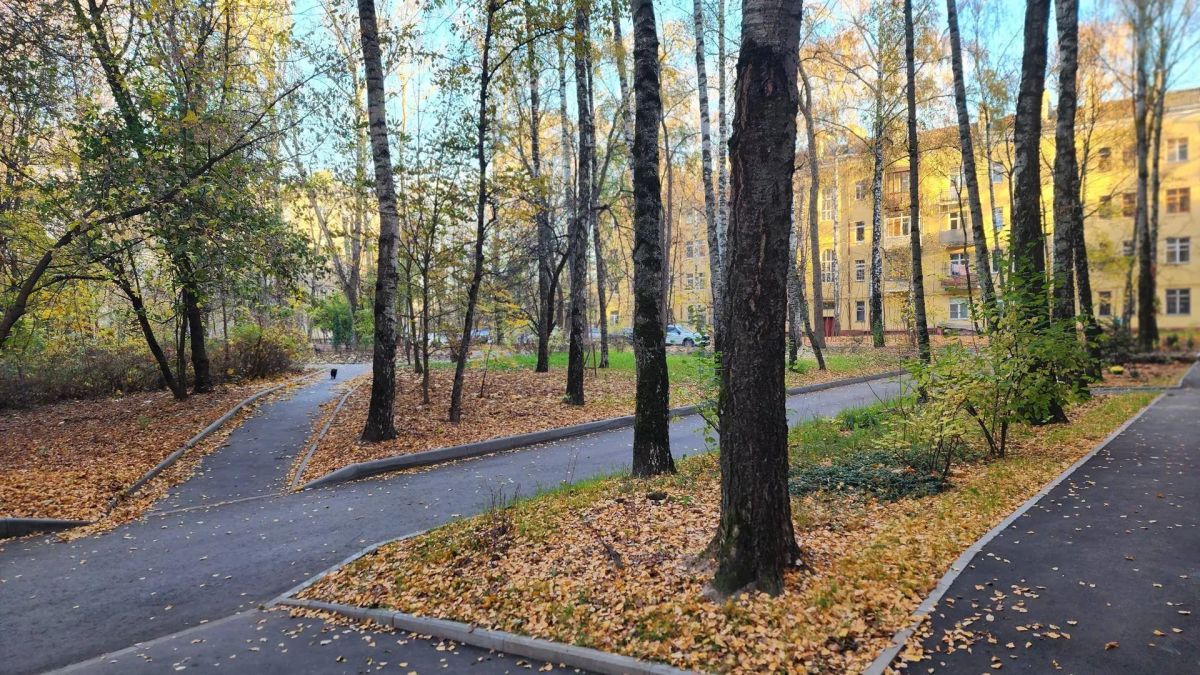 В Королёве завершилось благоустройство дворов на улицах Трофимова и Героев Курсантов В Королёве завершилось благоустройство дворов на улицах Трофимова и Героев Курсантов
